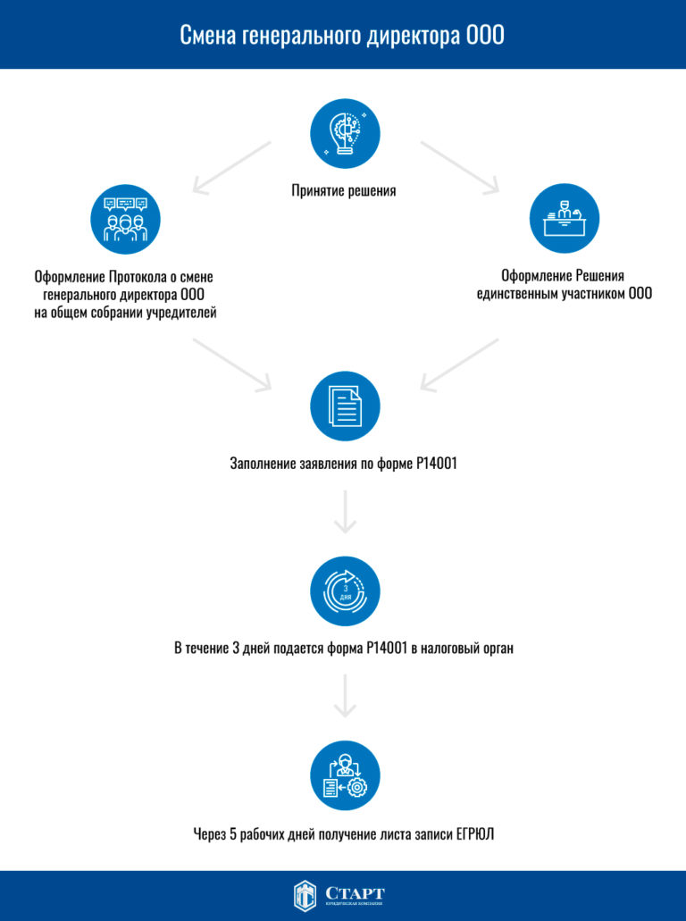 Решение смена генерального директора в ооо образец