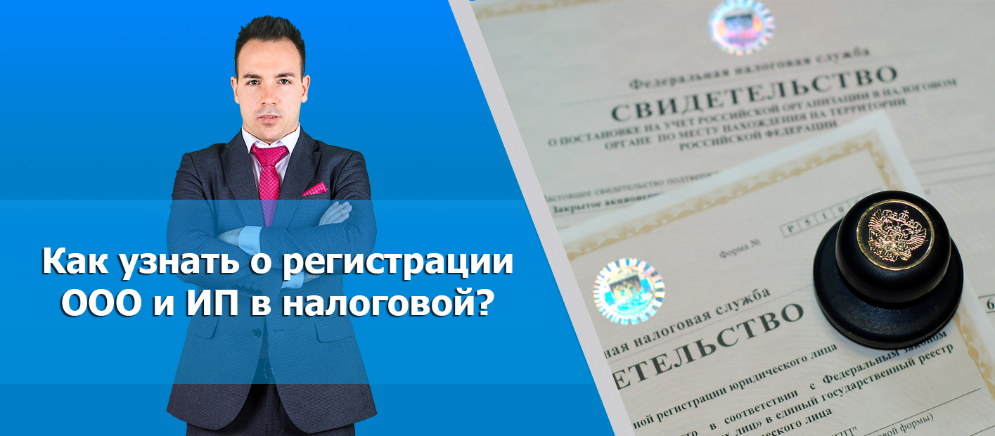 Как проверить документы на регистрацию ООО в налоговом органе. Проверка статуса ИП в ФНС.